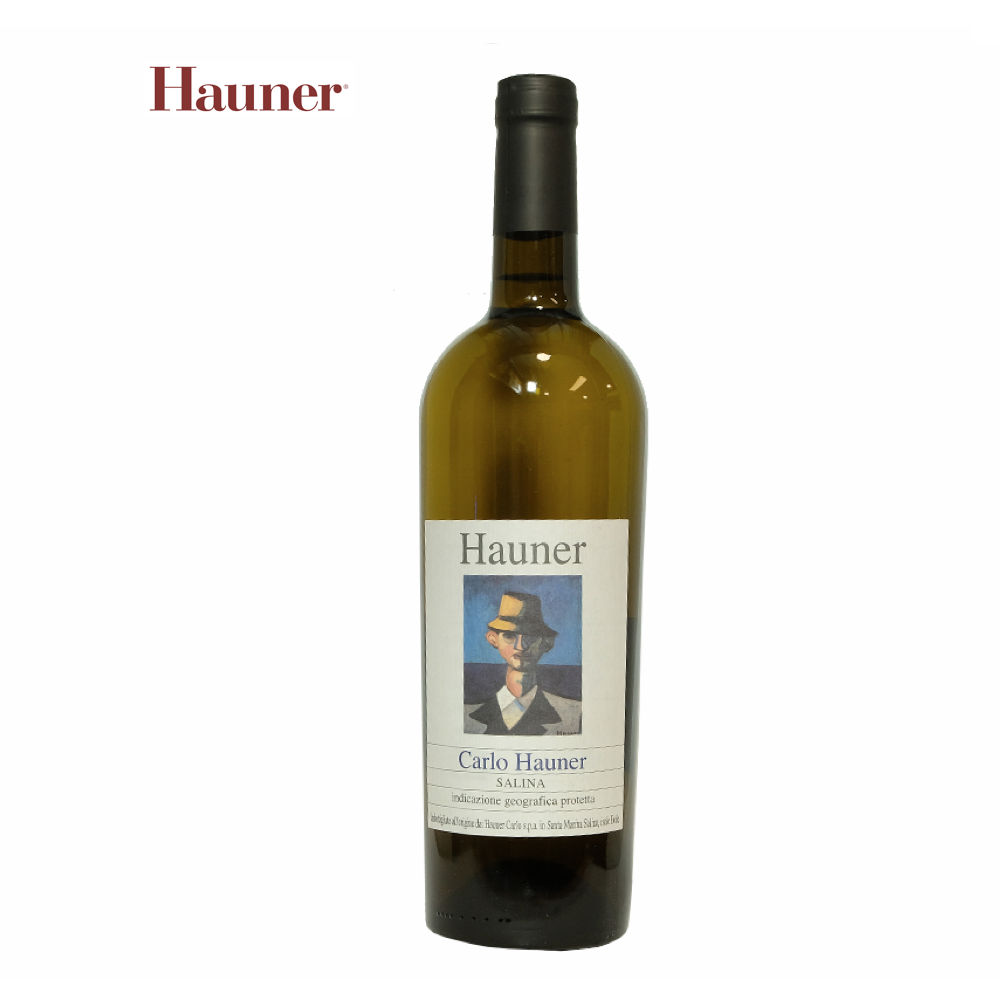 Carlo Hauner